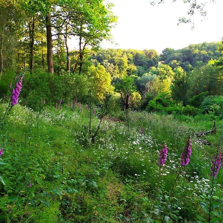 La Cabane Des Beaux Chenes Evrunes ภายนอก รูปภาพ