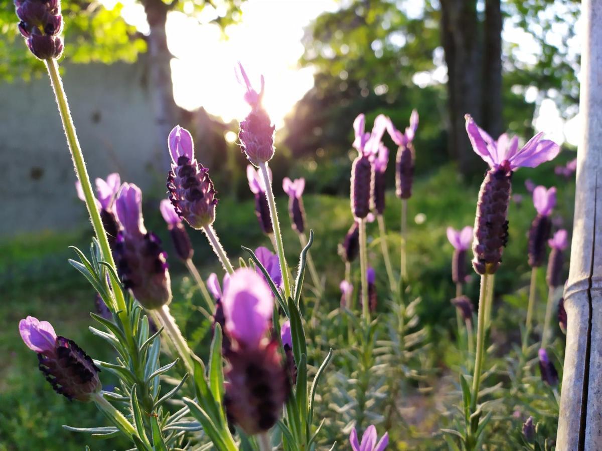 La Cabane Des Beaux Chenes Evrunes ภายนอก รูปภาพ